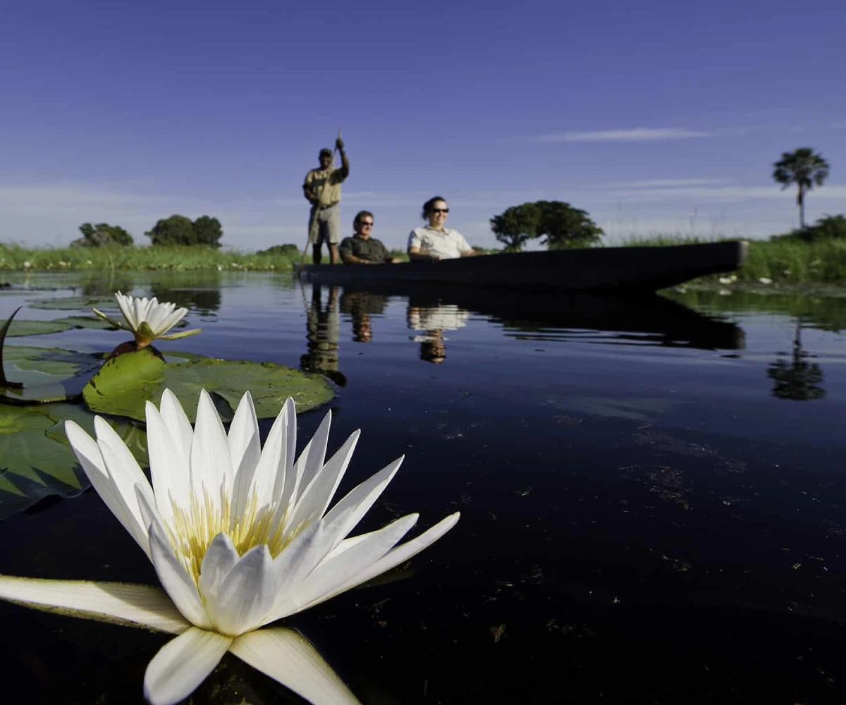 4-days-botwana-wildlife-safari-4