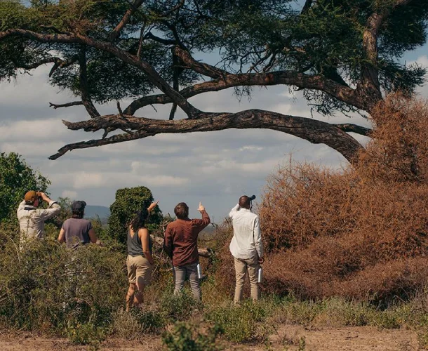 Arusha Walking Safari