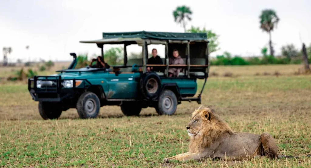 Game Drive