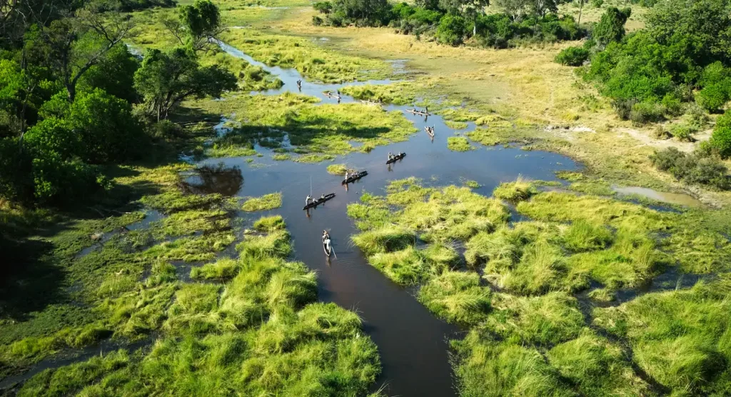 Okavango Delta Safari