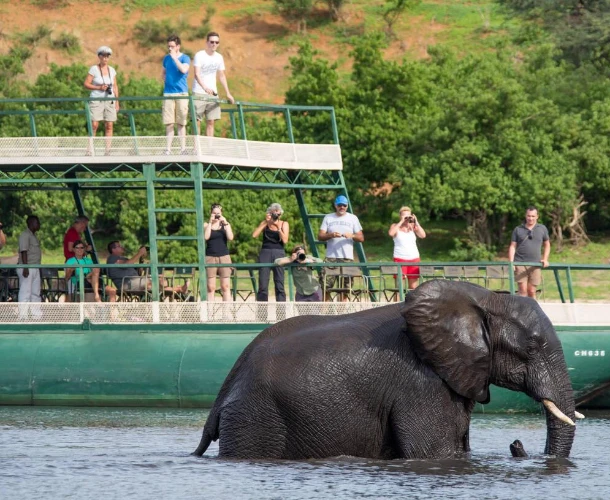 Chobe River Cruise