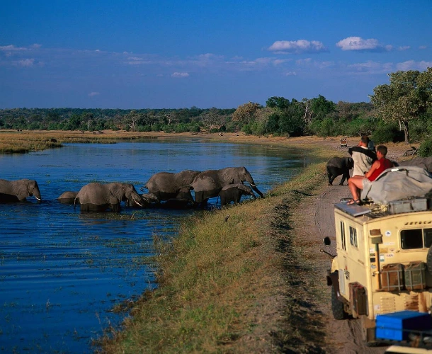 Afternoon Game Drive