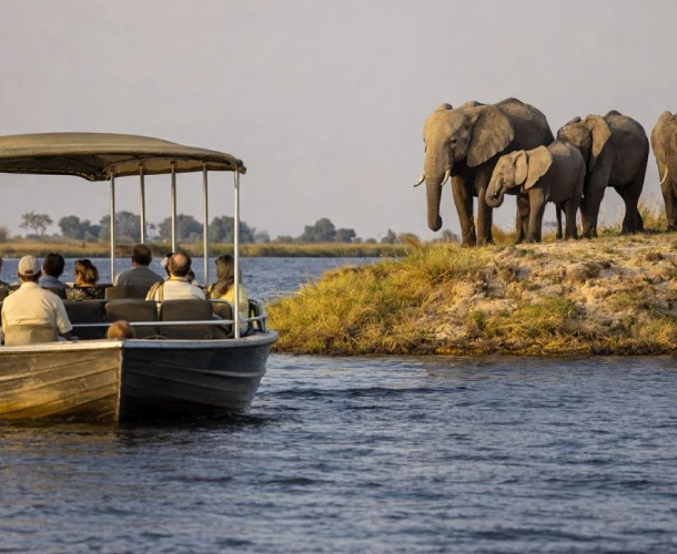 Chobe National Park River Activities