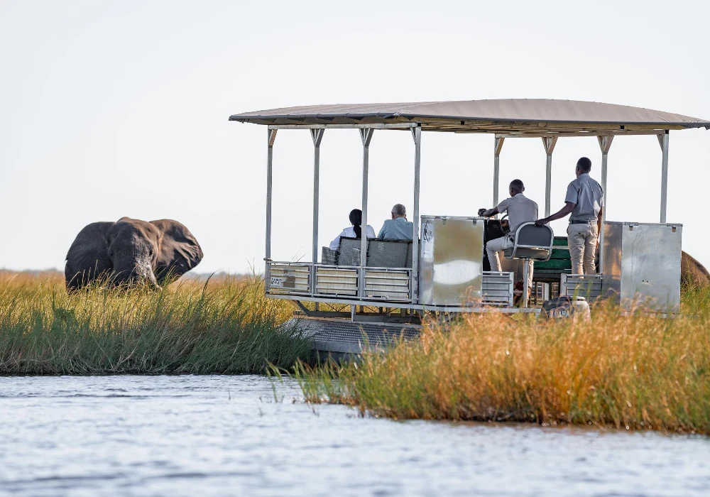 Chobe River Cruises