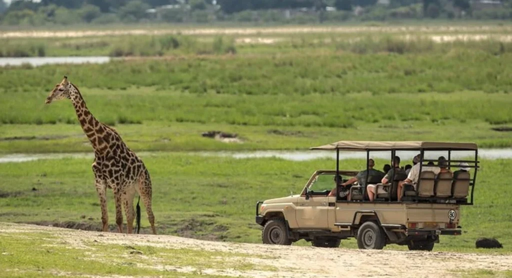 Chobe Game Drives
