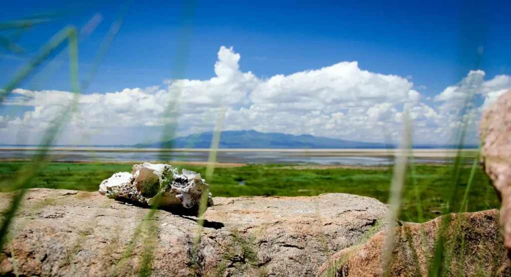 Lake Manyara National Park Scenic View
