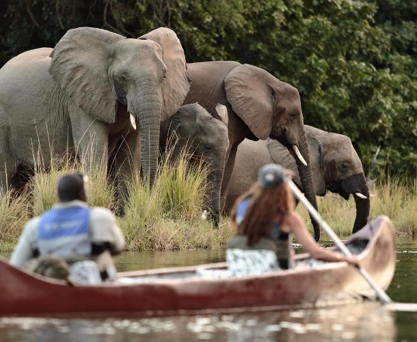 Lower Zambezi Canoe Safari
