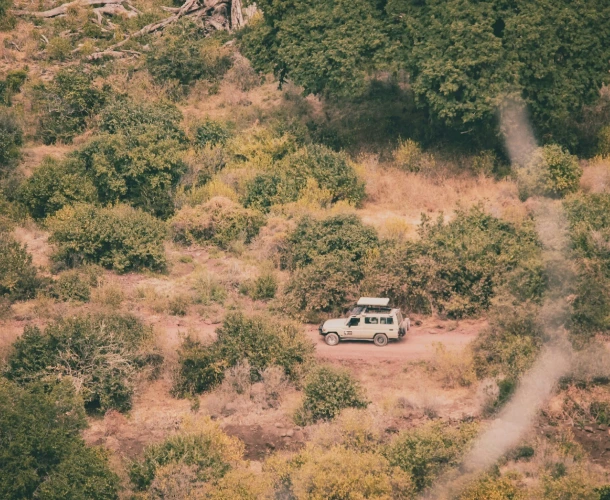 Manyara Game Drive