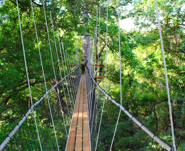 Lake Manyara Treetop Walk