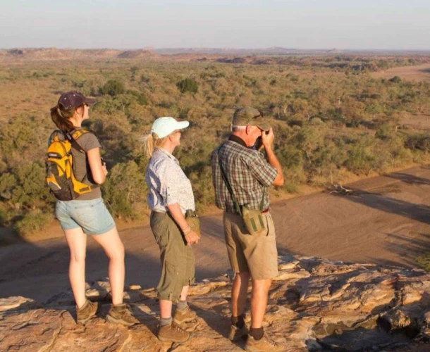 Mashatu Game Reserve Game Drive