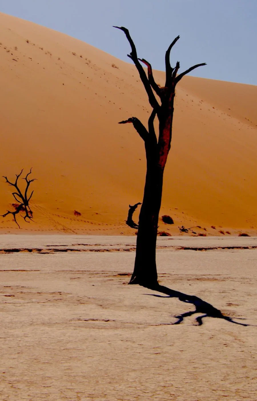Namibia Experience