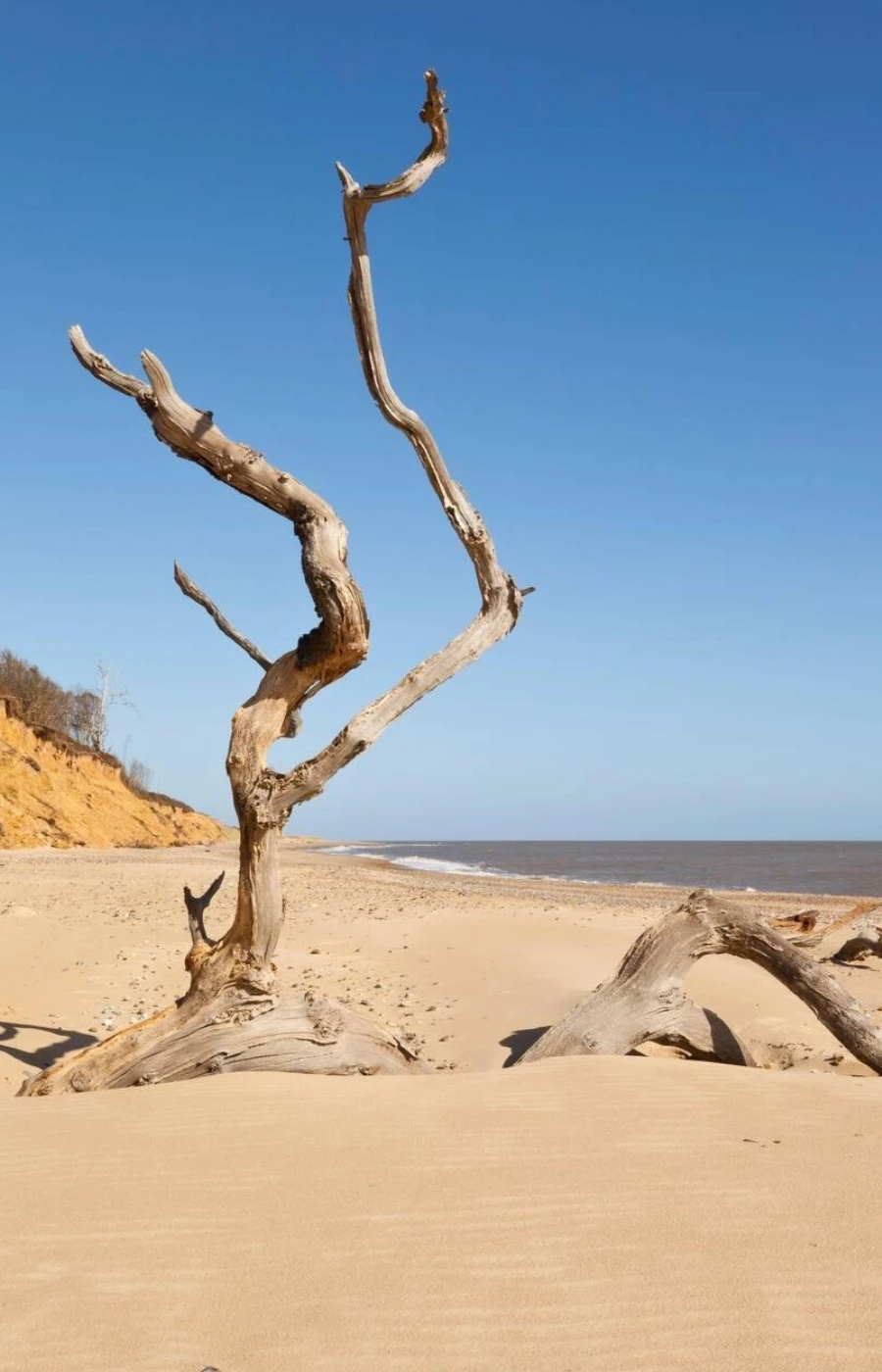Namibia Attractions