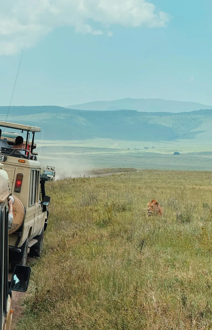 Ngorongoro Crater Game Drive
