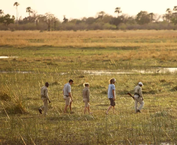 Okavango Delta Walking Safari