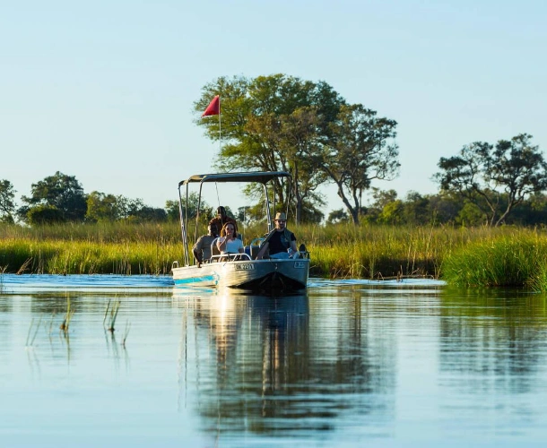 Boat Safaris