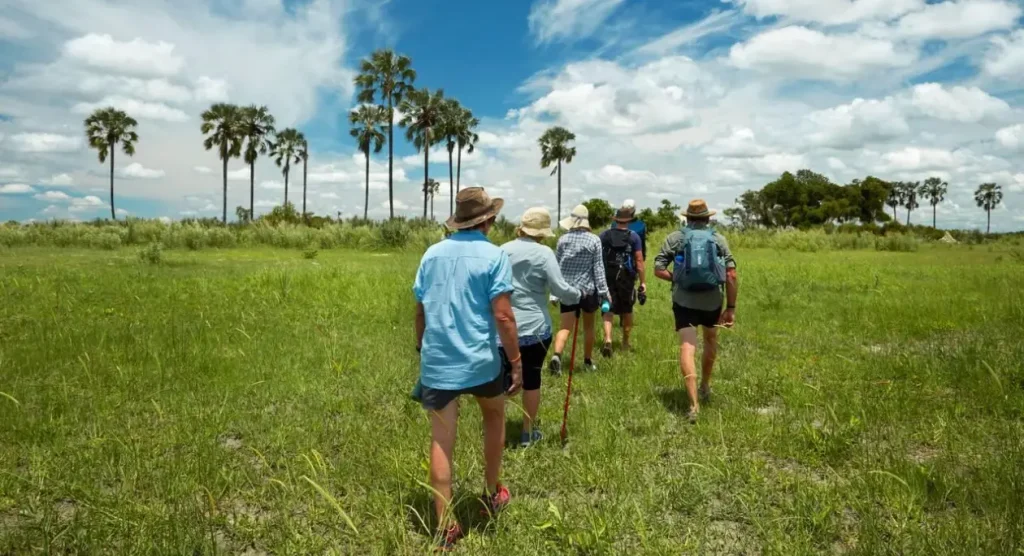 Walking Safaris