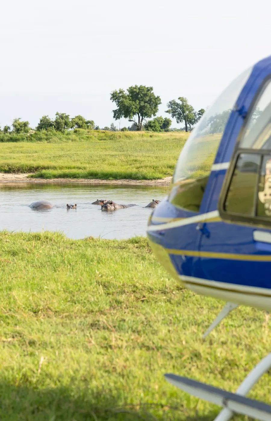 Scenic Flights