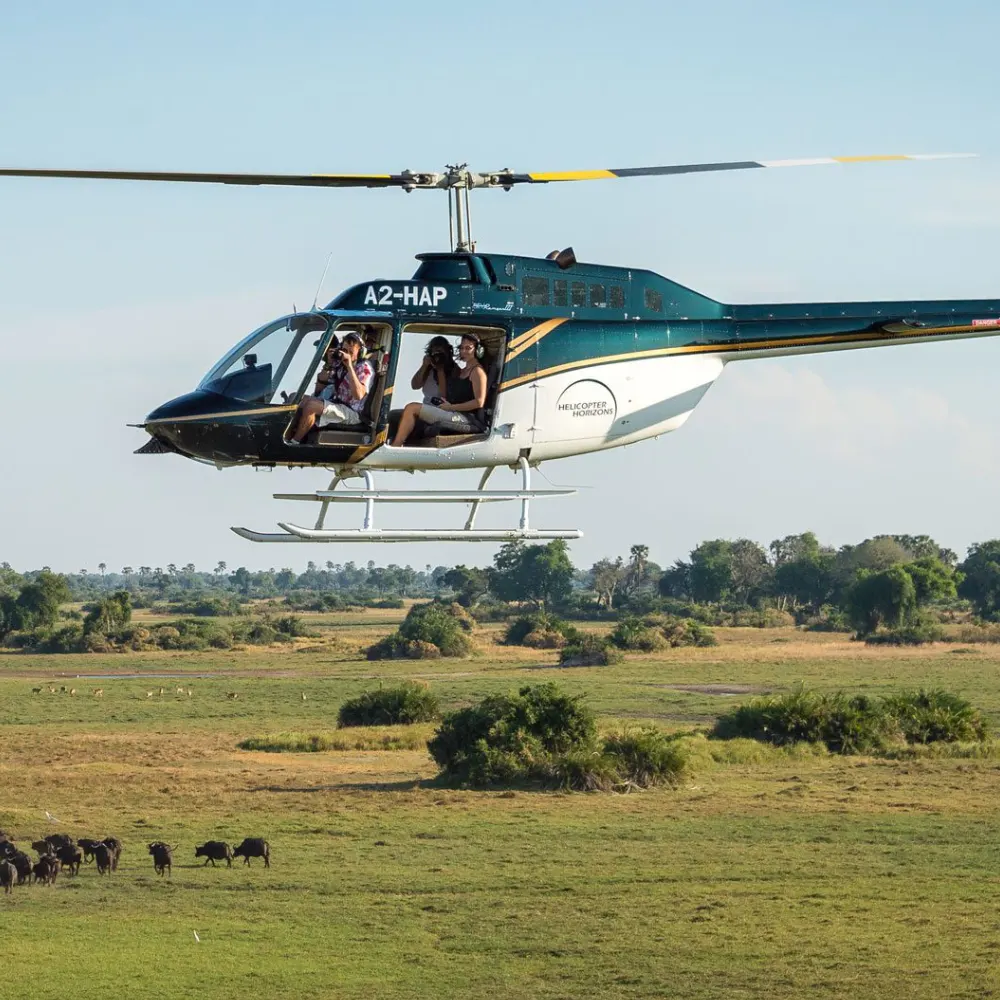 Scenic Flights Attractions
