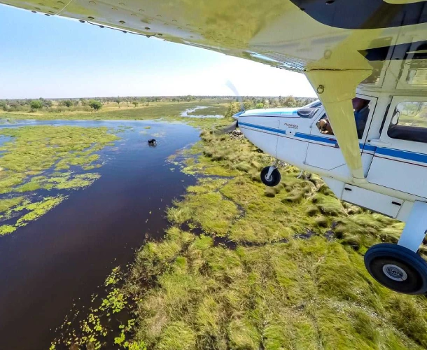 Okavango Delta Flights