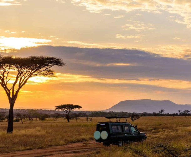 Serengeti National Park Game Drives