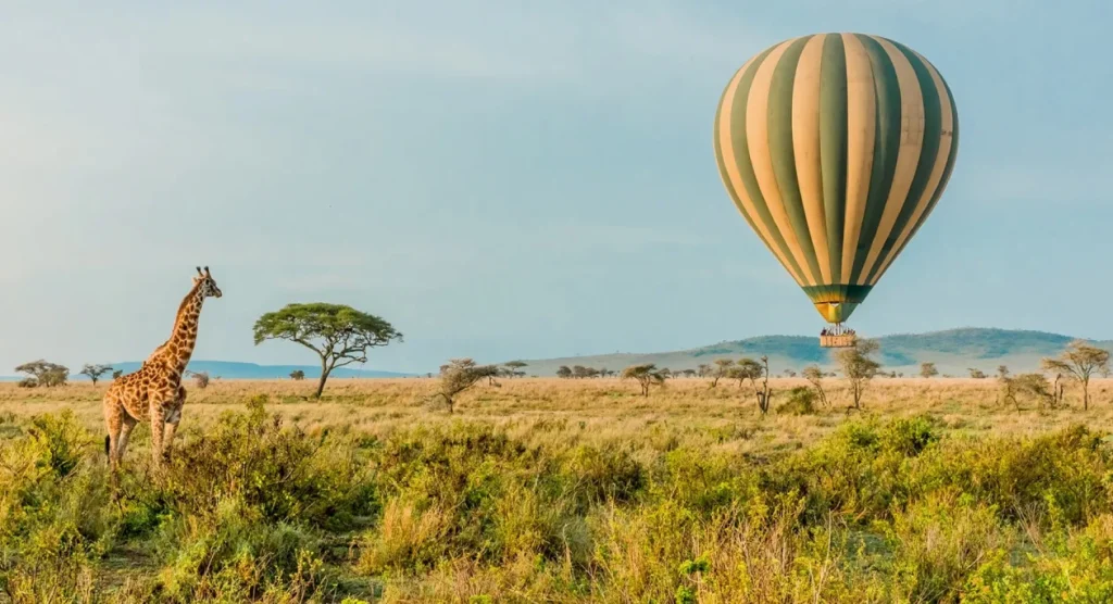 Serengeti National Park Hot Air Balloon Safari