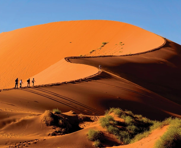 Dune Climbing