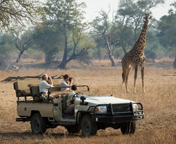 Game Drive