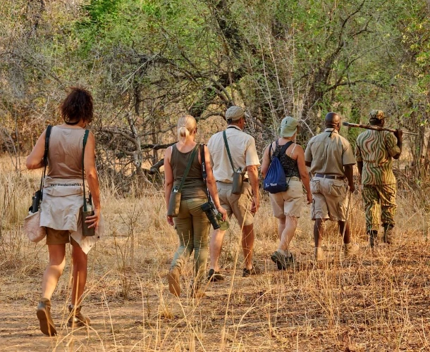 Walking Safari