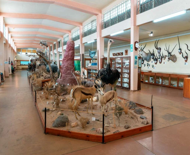 Museum Visits