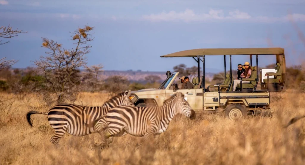 Game Drives