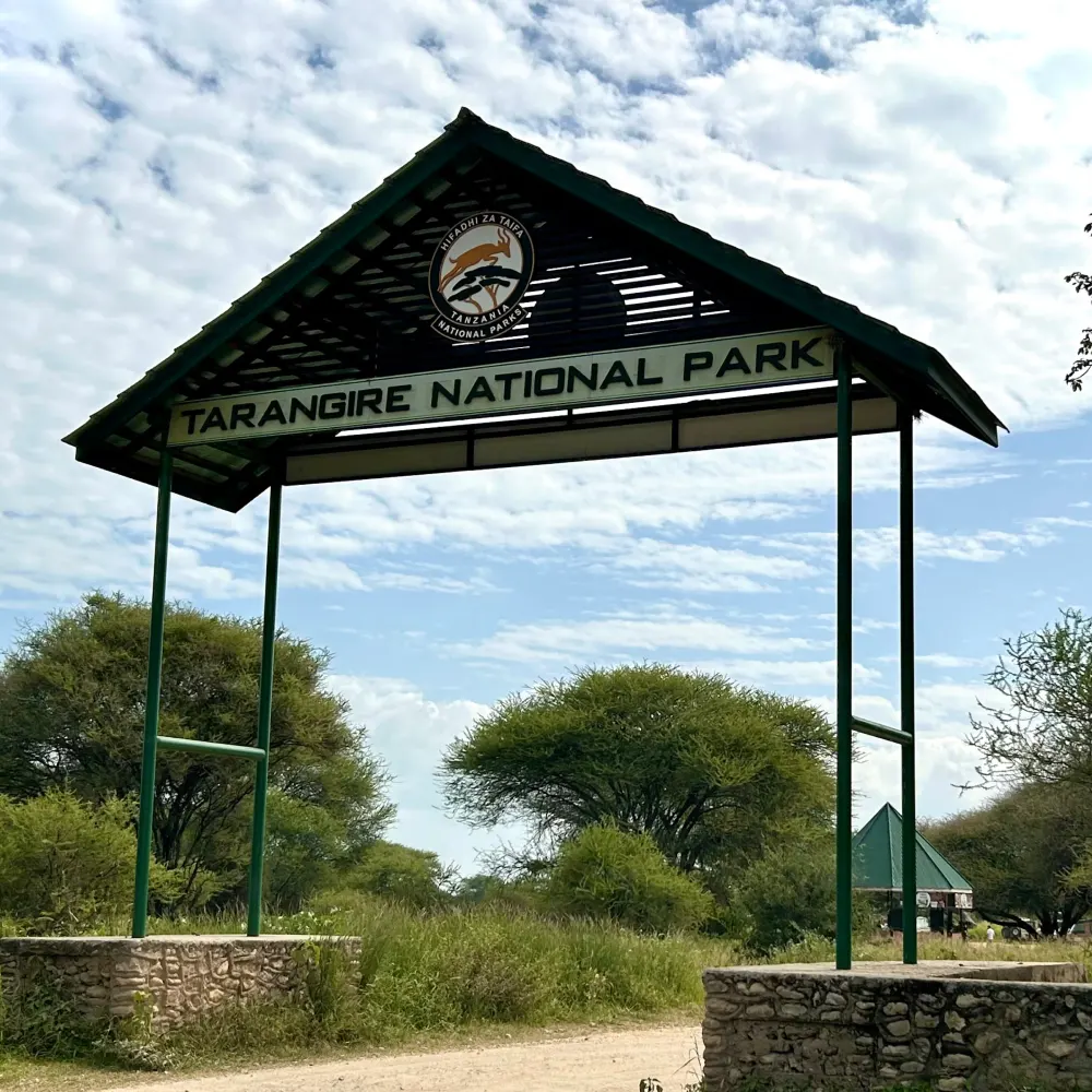 Tarangire Gate