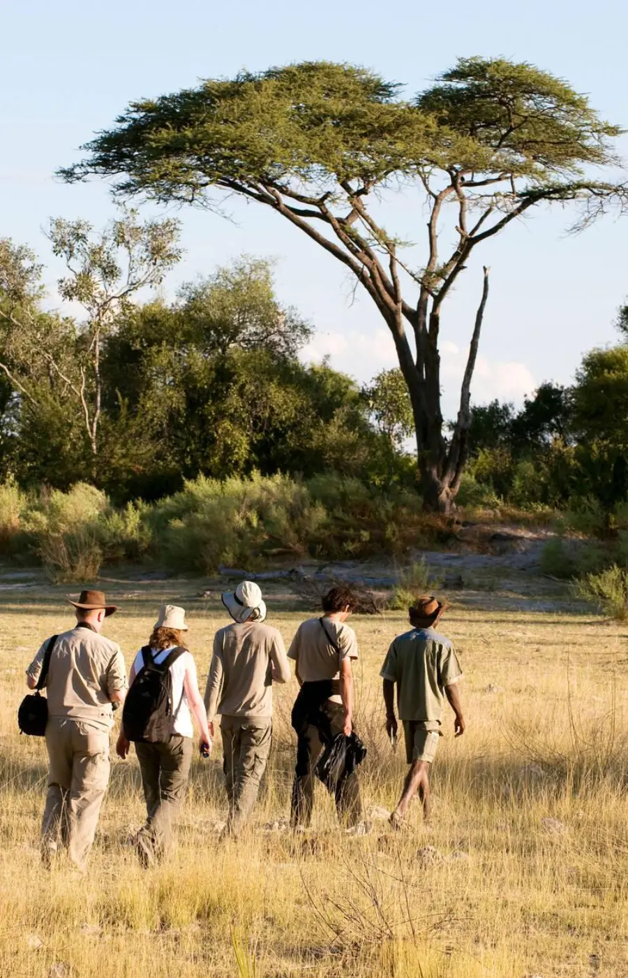 Walking Safaris