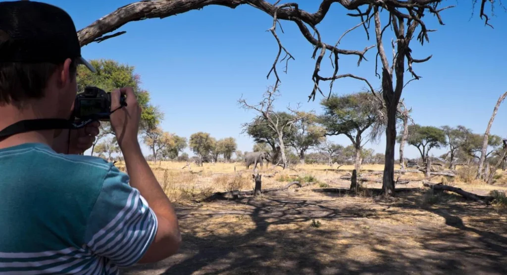 Walking Safaris Photography