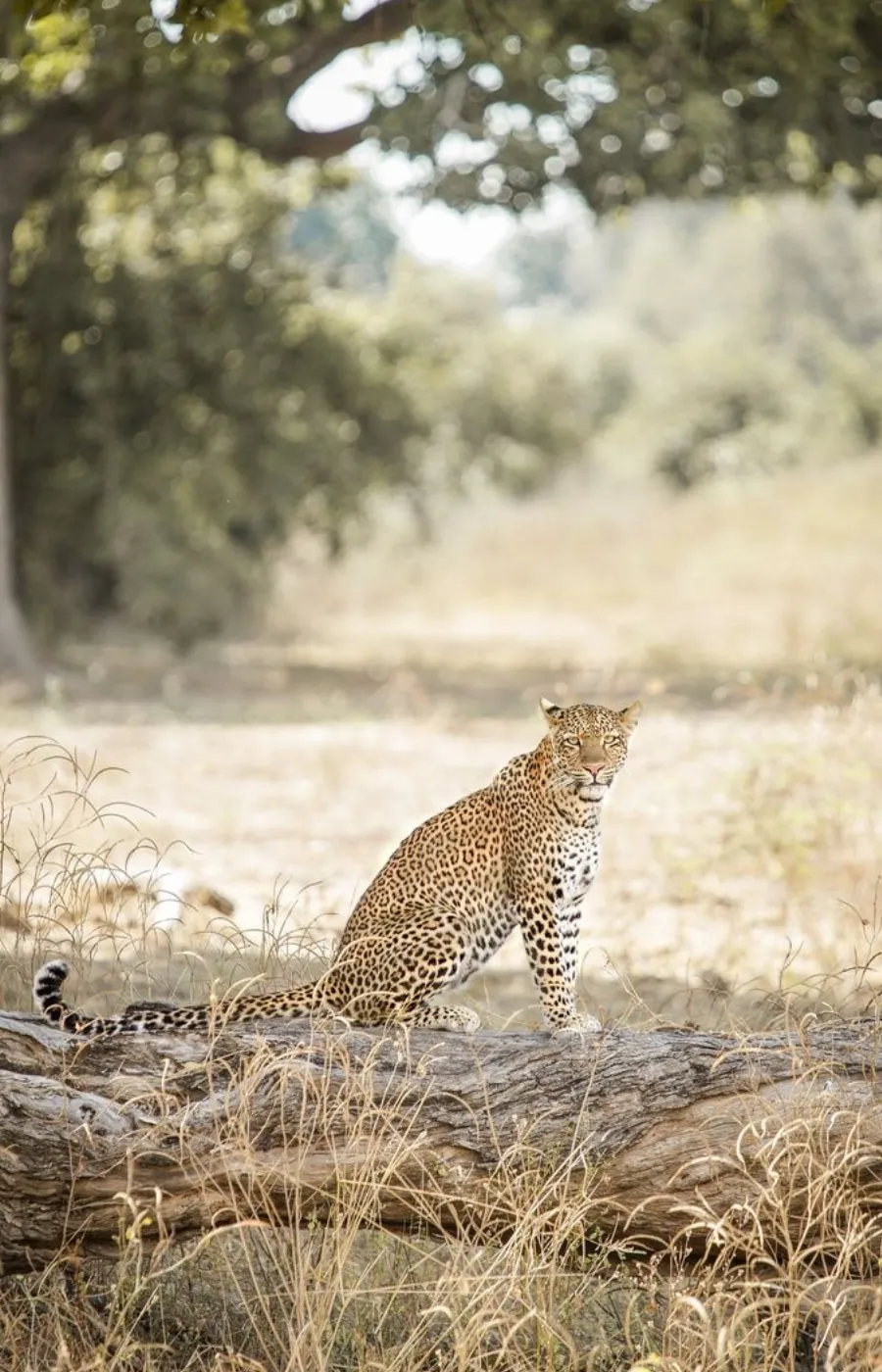 Zambia Destinations