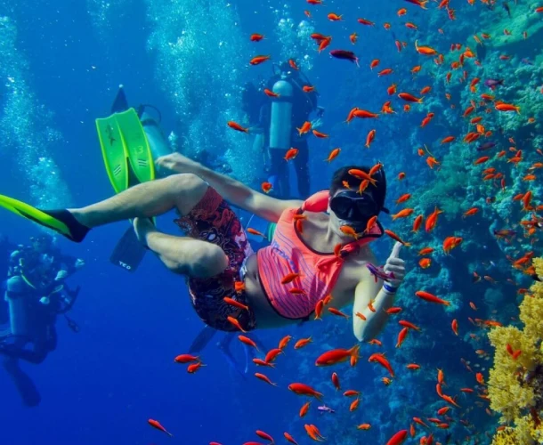 Zanzibar Snorkeling