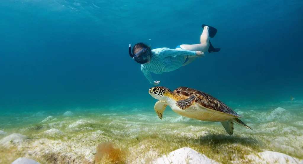 Zanzibar Activities