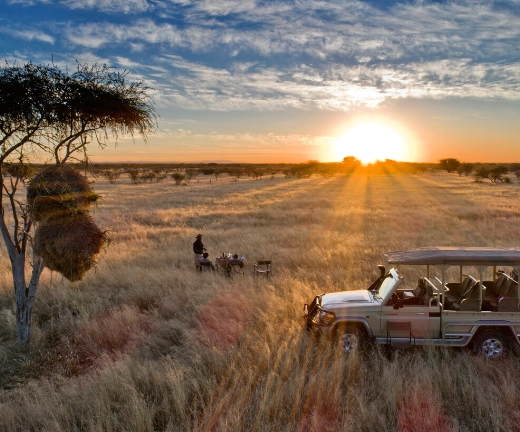 Etosha Game Drive