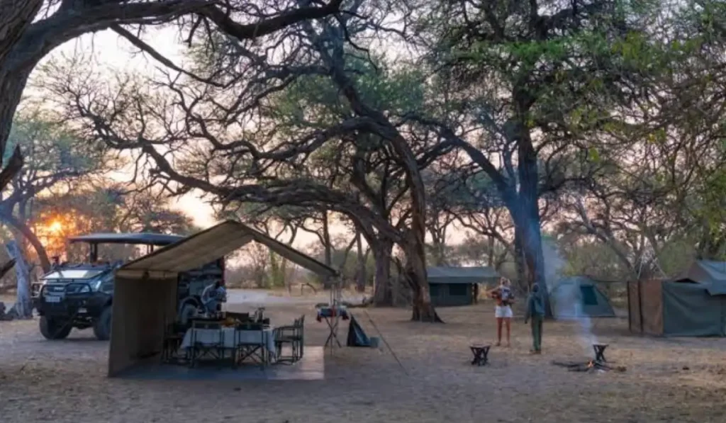 Evening View of Botswana