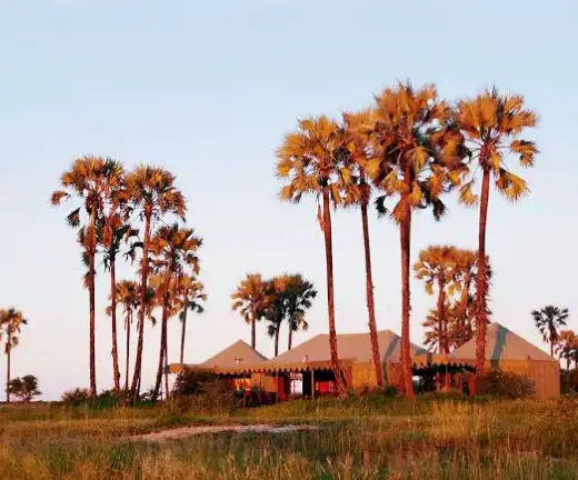 Nature of Botswana