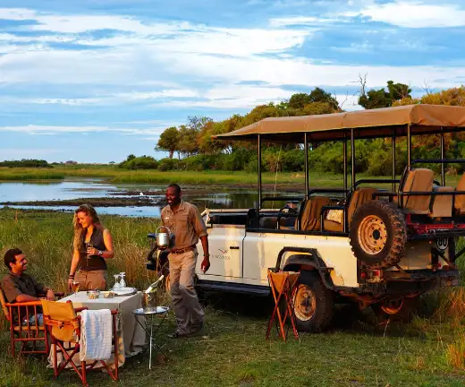 Botswana Budget Safari