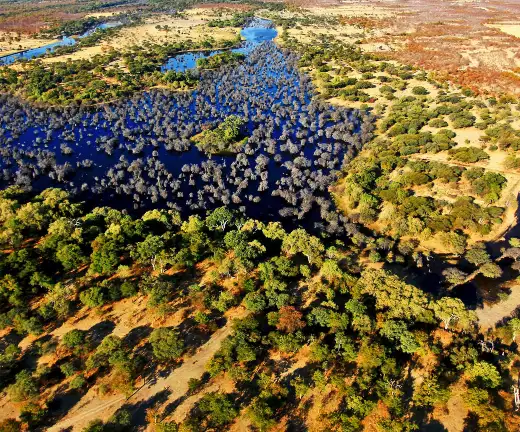 Nature View of Botswana