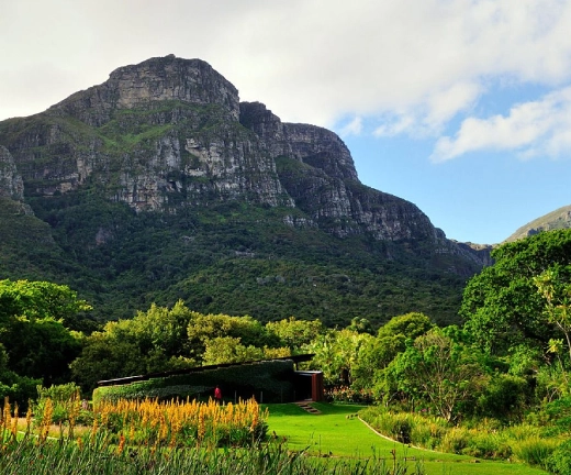 Cape Town Botanicak Gardens