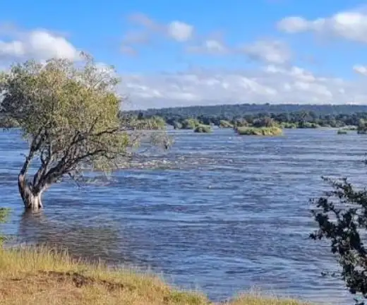 5-days-victoria-falls-hwange-wilderness-safari4