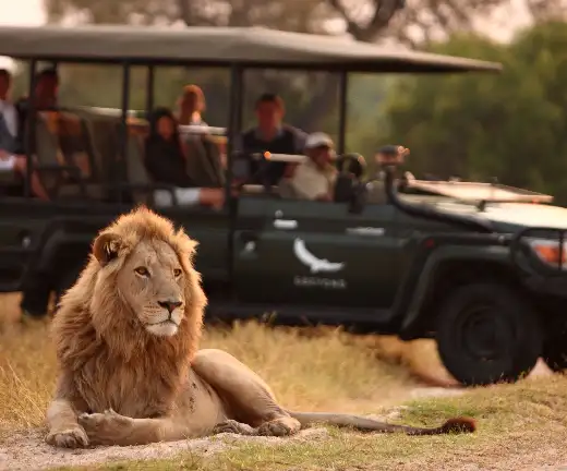 BEST OF DESERT & DELTA SAFARIS – 8 NIGHTS – KASANE_MAUN6