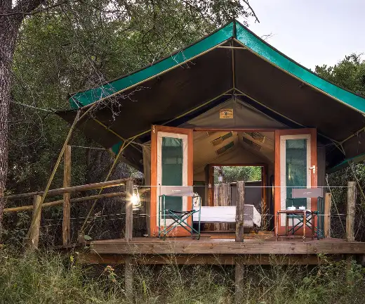 Accommodation Mashatu