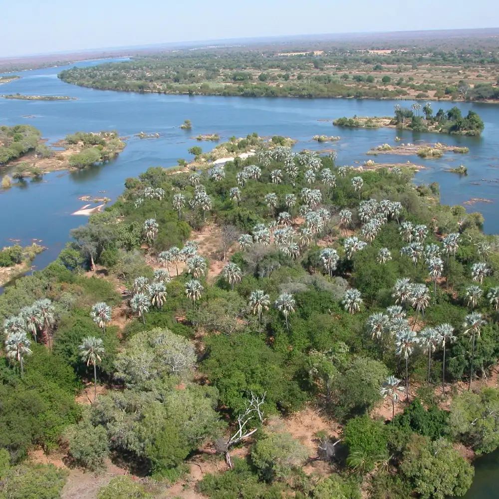 Microlight Flight Attractions