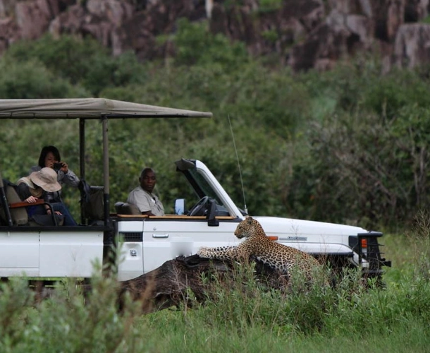 Game Drives