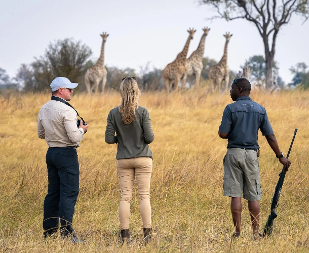 Walking Safari