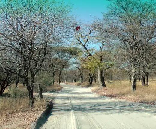 traversing-the-delta-9-nights-maun-to-maun2 (1)