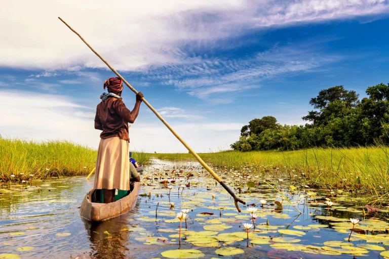 Discover Botswana: A Complete Guide to an Unforgettable Safari